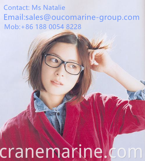 Marine crane telescopic 40m outreach ABS ship deck crane price hydraulic crane